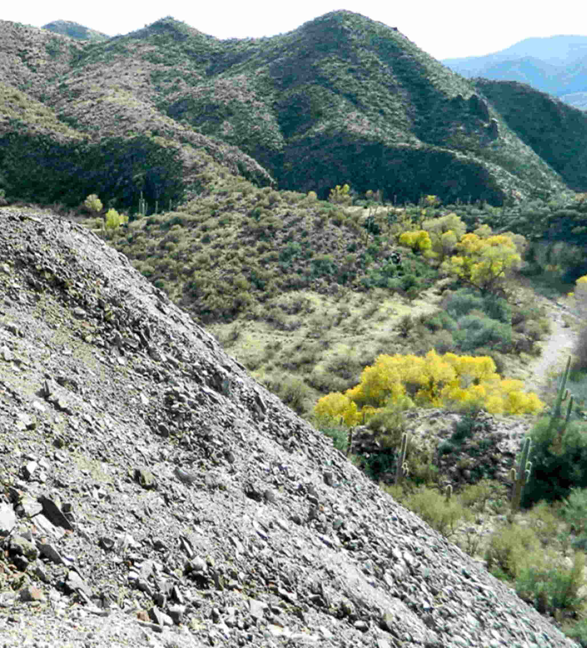 Gold-ore pile #6 a